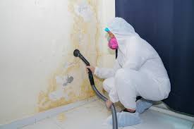 Trusted Lake Geneva, WI Mold Inspection Experts